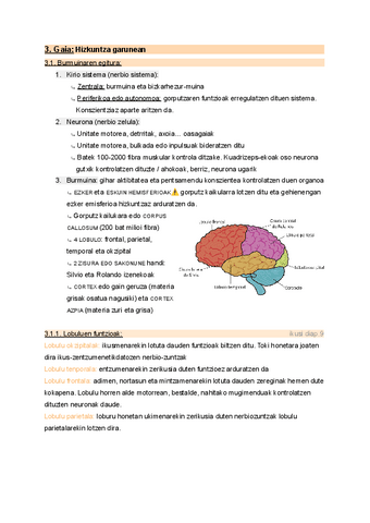3.-Hizkuntza-garunean.pdf