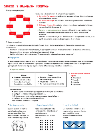APUNTES-PERCEPCION-T56-Y-7.pdf