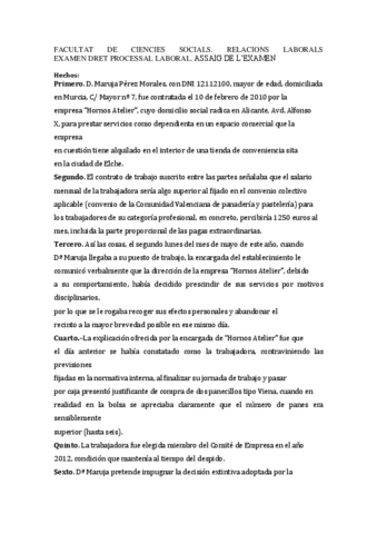 ENSAYO-EXAMEN-FINAL-DERECHO-PROCESALAMPARO-ESTEVE.pdf