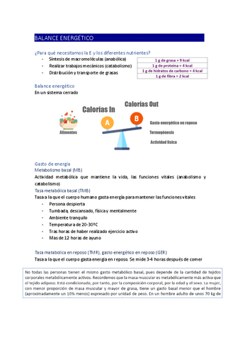 BALANCE-ENERGETICO.pdf