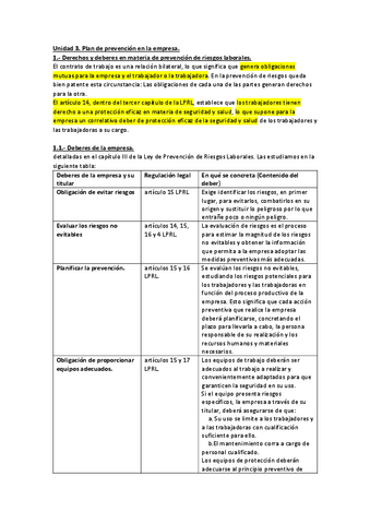 FOL03-RESUMEN-Plan-de-prevencion-en-la-empresa.pdf
