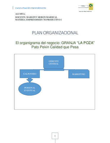 Activivdad-4.1.-formato-Plan-organizacional-3.pdf