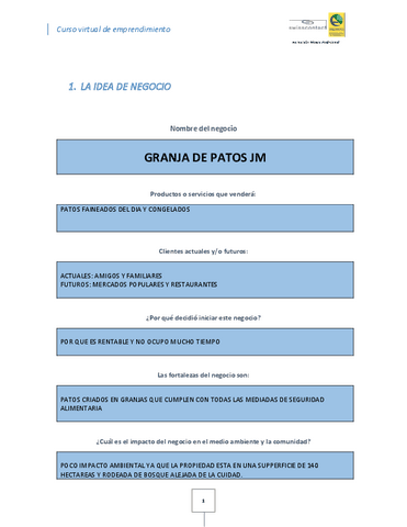 Formato-La-idea-de-negocio.pdf