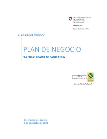 Plan-de-Negocio-final.pdf