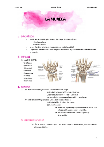 TEMA-3B-MUNECA-Y-MANO.pdf