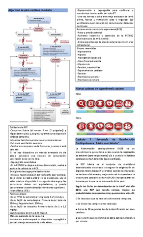 Test-1-urgencia-DEA-RCP-e-inmovilizacion.pdf