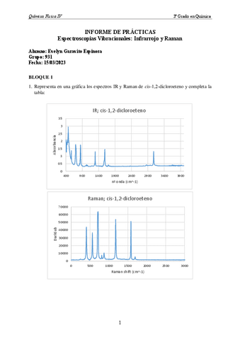IRyRaman-informe.pdf