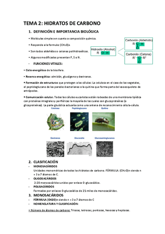 TEMA-2-BIOQUIMICA.pdf