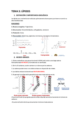 TEMA-3-BIOQUIMICA.pdf
