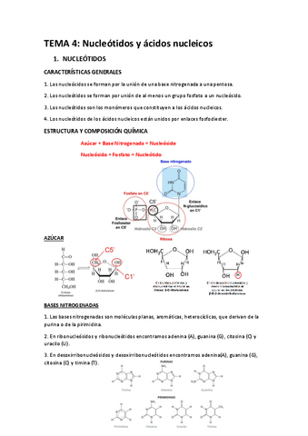 TEMA-4-BIOQUIMICA.pdf