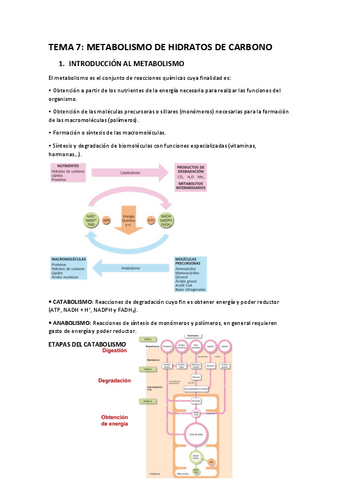 TEMA-7-BIOQUIMICA.pdf