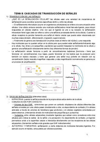 BIOQUIMICA-TEMA8.pdf