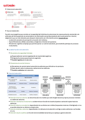 APUNTES-ATENCION-T8.pdf