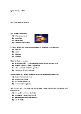 Banco-de-preguntas.pdf