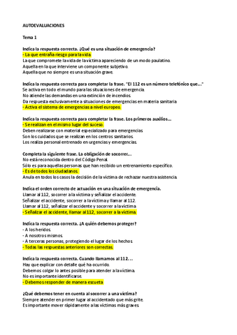 Autoevaluaciones-PPAA.pdf