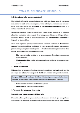 TEMA-20.-Genetica-del-desarrollo..pdf