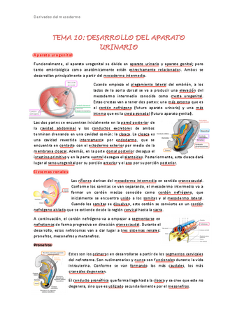 Tema-10.pdf