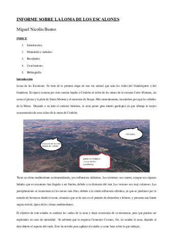 Informe edafología Miguel Nicolás.pdf
