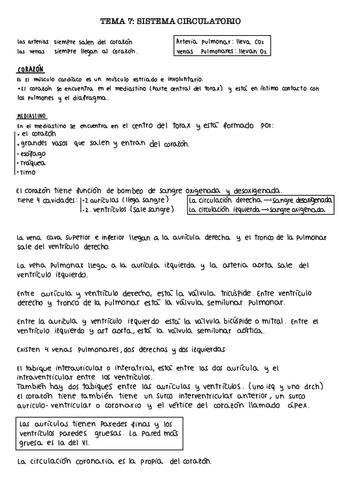 Tema-7.-Sistema-circulatorio.pdf