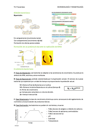 T2.-Procariotas.pdf