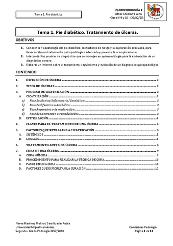 Tema-1.-Pie-diabetico-5.pdf