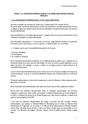 Internacional-Publico-entero.pdf