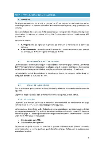 Bioquimica-II-tema-4-met.-glucidico.pdf