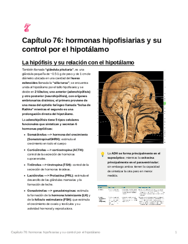 Capitulo-76.pdf