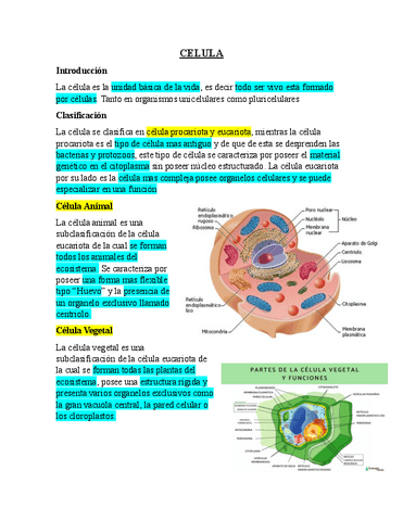 CELULA.pdf