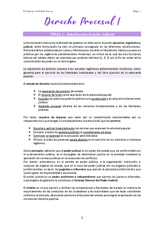 PROCESAL-I-ENTERO-BelenRomero.pdf