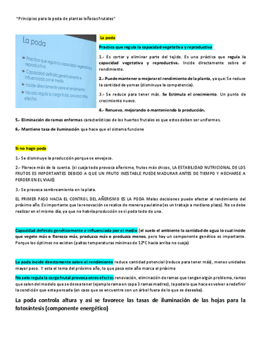 Clase-9-lenosa.pdf