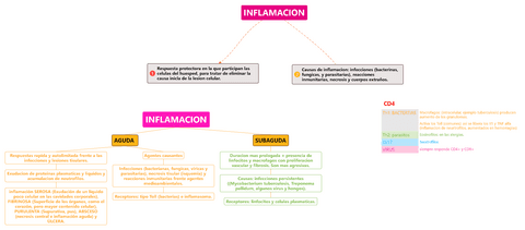 Inflamacion.pdf
