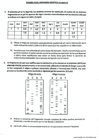 EXAMEN-FIG-2020-MODELO-C-RESUELTO.pdf