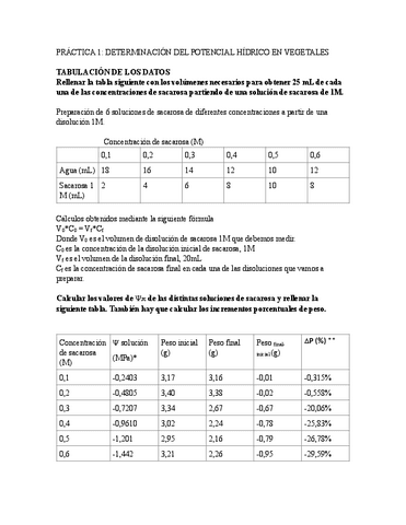 Practiques-FV-resolta (9,3).pdf