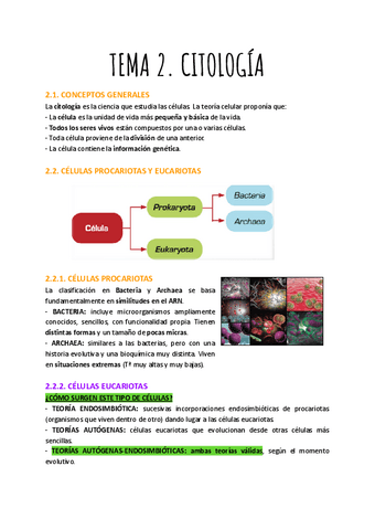 T.2-CITOLOGIA.pdf