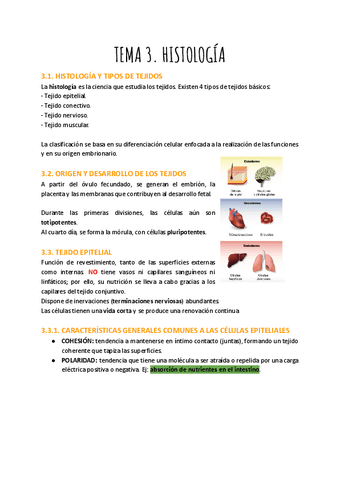 T.3.-HISTOLOGIA.pdf