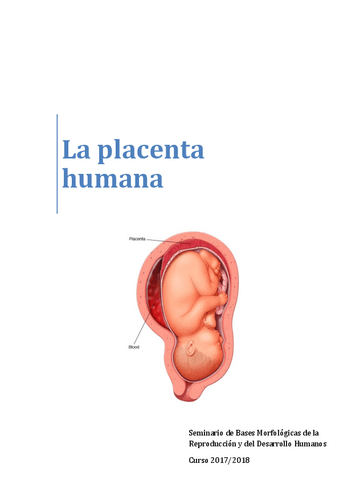 La-placenta-humana.pdf