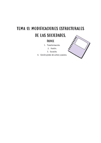 TEMA-13.pdf