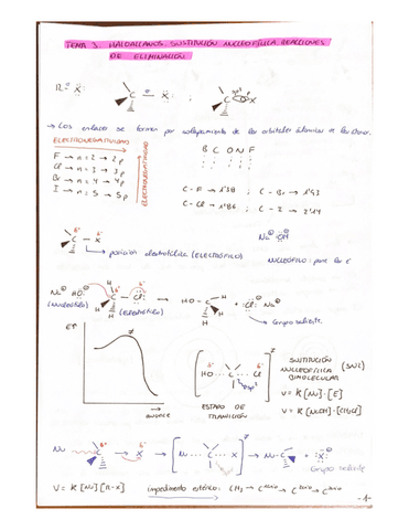 Temas-3,4,5.pdf