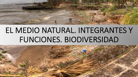 Tema-1.-El-medio-ambiente-integrantes-y-funciones-biodiversidad.pdf