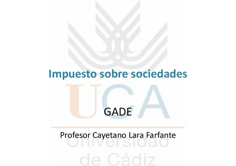 impuesto-sobre-sociedades.pdf