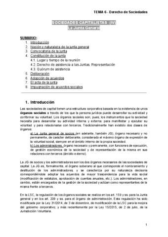 Sociedades-T6-13.pdf