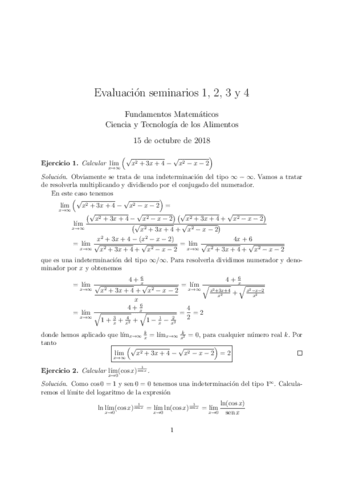 Examen-seminarios-1-4.pdf