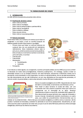 T4.-Farmacologia-del-dolor.pdf