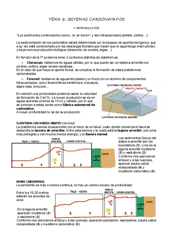 T8Sistemas-carbonatados.pdf