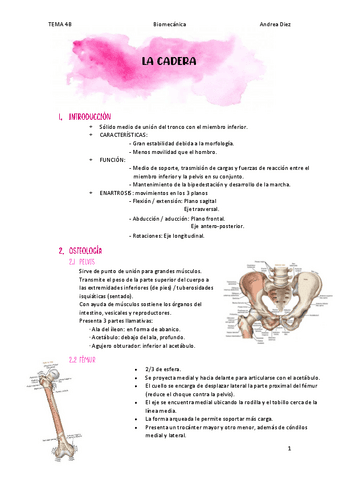 TEMA-4B-LA-CADERA.pdf