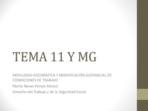 TEMA-11-Y-MG.pdf