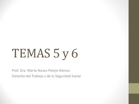 TEMAS-5-Y-6.pdf