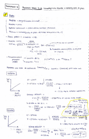 seminario-5.-Problemas-T5-y-T6.pdf