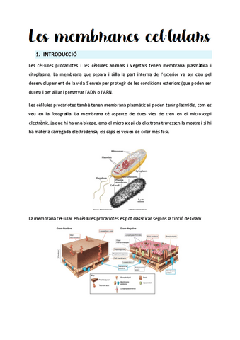 Tema-2-Membranes-cellulars.pdf